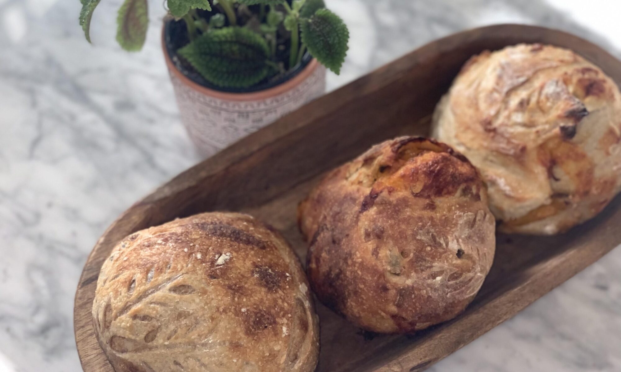 san clemente sourdough mini bread loaves