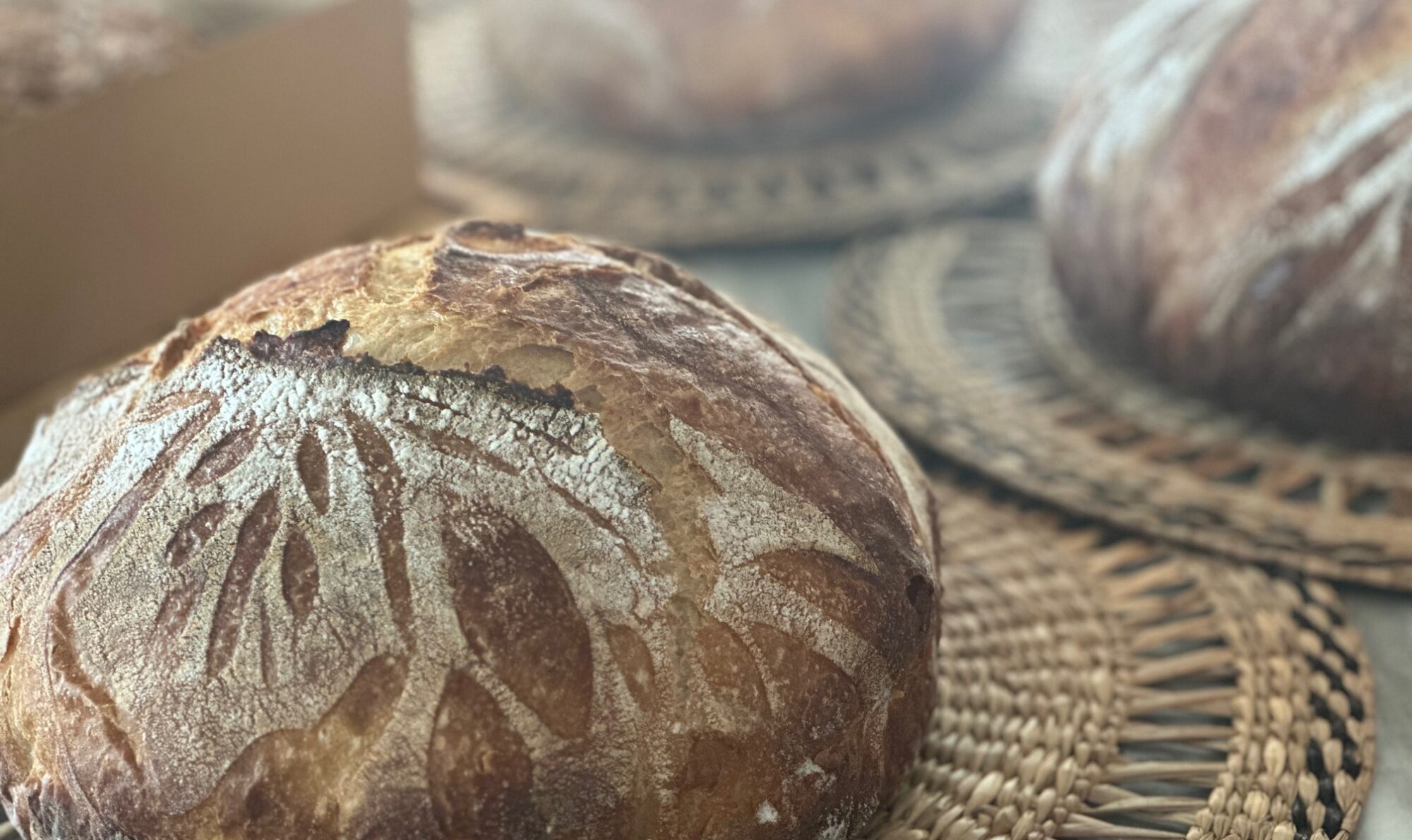 sourdough loaves